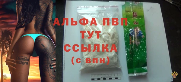 шишки Арсеньев