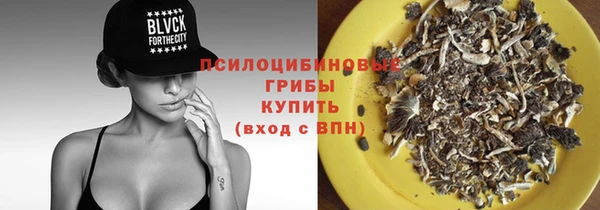 шишки Арсеньев
