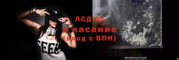 шишки Арсеньев