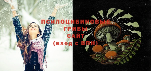 шишки Арсеньев