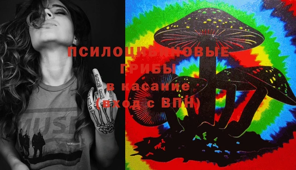 шишки Арсеньев