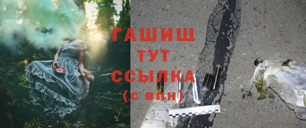 шишки Арсеньев