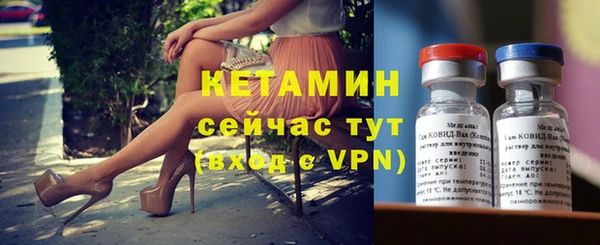 шишки Арсеньев