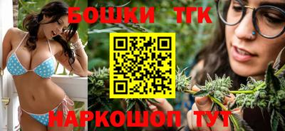 шишки Изобильный