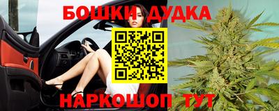шишки Изобильный