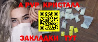 шишки Изобильный