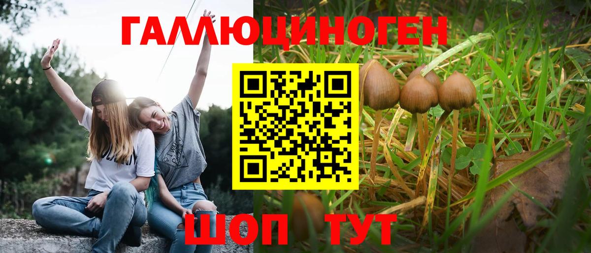 Меф МЯУ МЯУ   Гашиш  Мытищи  Альфа ПВП СК   Вход с VPN  Конопля 